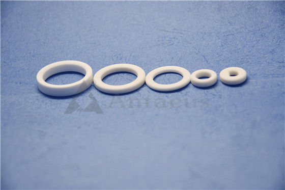 Al2O3 Alumina Ceramic Rings
